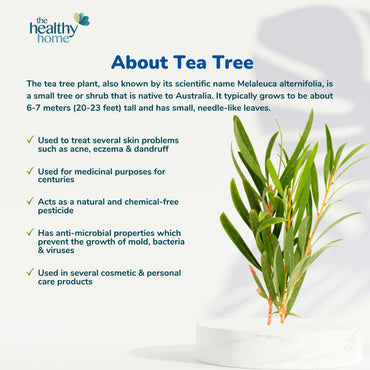 Gelair™ Air Purifying Tubs with Tea Tree Oil and Lavender