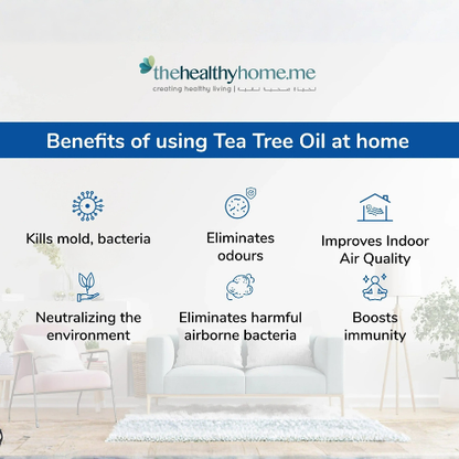 Gelair™ Air Purifying Tubs with Tea Tree Oil and Lavender for natural air detoxification in small spaces
